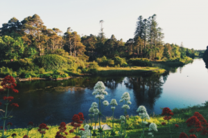 Ballynahinch Castle Grounds, Connemara, West Ireland